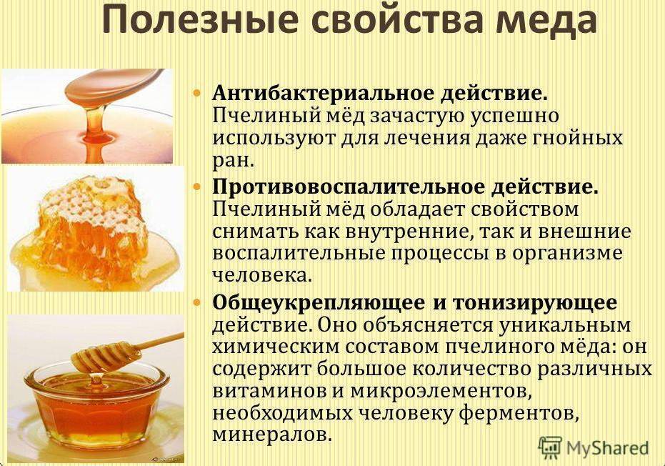 О свойствах меда: лечебные и целебные свойства, подорожник с медом, леспедеция