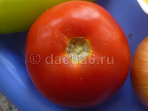 Детерминантные сорта томатов: краткий обзор и особенности агротехники