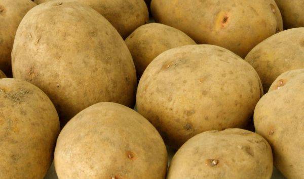 Картофель: как вырастить хороший урожай