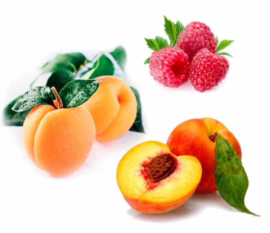Гибрид абрикоса и персика: 4 вида и способы выращивания