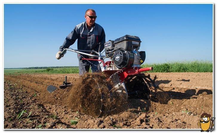 Подготовка почвы под картофель