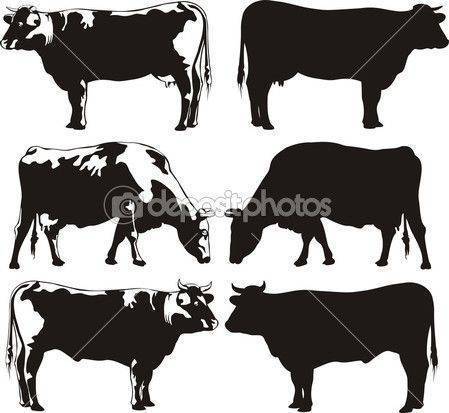 Эксперты сельхозпереписи посчитали, сколько в россии коров
