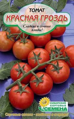 Сорт томата «красная гроздь»: описание, характеристика, посев на рассаду, подкормка, урожайность, фото, видео и самые распространенные болезни томатов