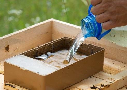 Как приготовить инвертированный сироп для пчёл