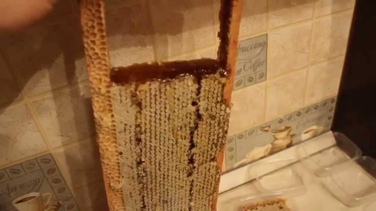 Рамки с медом