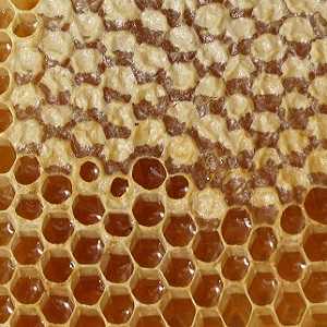 Можно ли есть мед в сотах вместе с воском