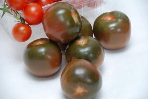 Сорт томата «кумато»: описание, характеристика, посев на рассаду, подкормка, урожайность, фото, видео и самые распространенные болезни томатов