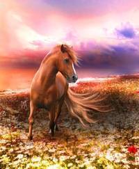 Дикая лошадь — история происхождения диких видов лошади и отличительные черты, узнайте все в обзоре с фото и видео!