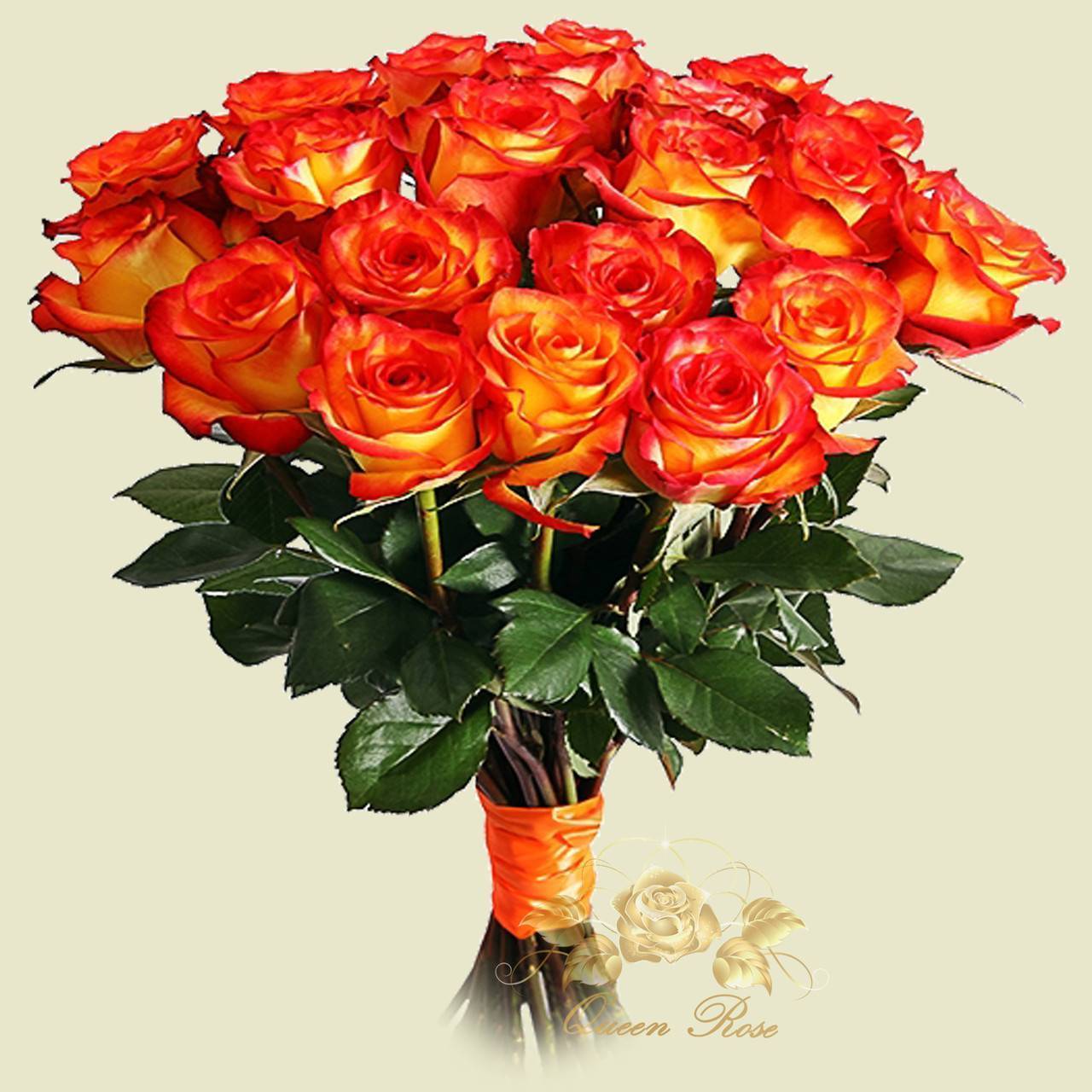 Об оранжевых розах: описание сортов плетистой кустовой розы оранжевого цвета