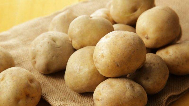 Элитные сорта картофеля. почему лучше покупать именно их?