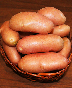 Изюминка: описание сорта картофеля, характеристики, агротехника
