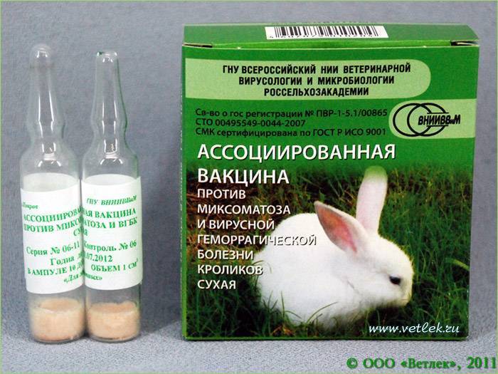 Прививки (вакцинация) кроликов