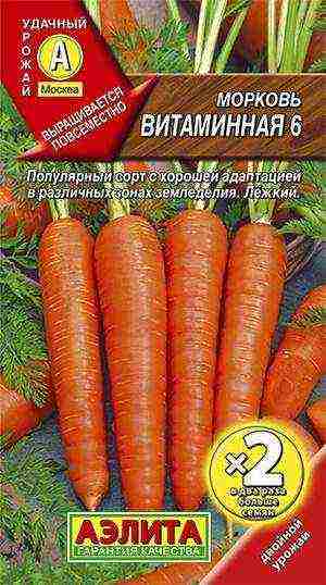 Как подготовить семена моркови к посеву в открытый грунт весной