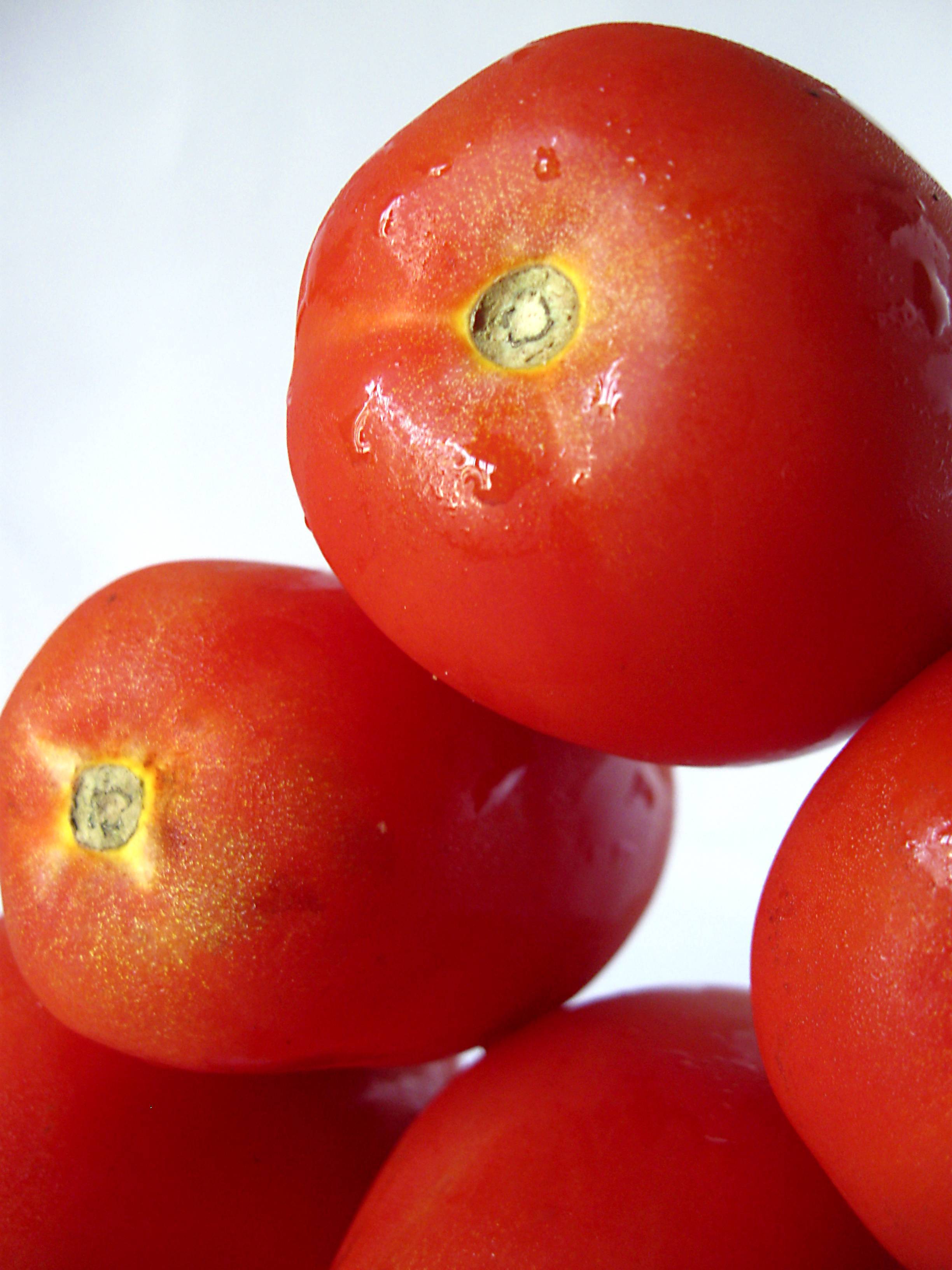 Форма семян томата. Томат Вика. Томатные овощи. Томат это ягода. Помидор это фрукт.