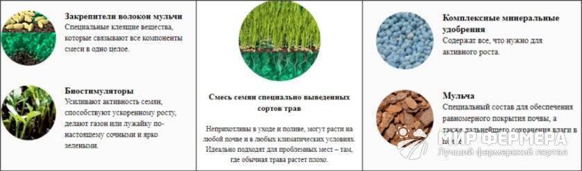 Газонная трава: как сажать, когда сеять, подготовка почвы, технология с пошаговой инструкцией