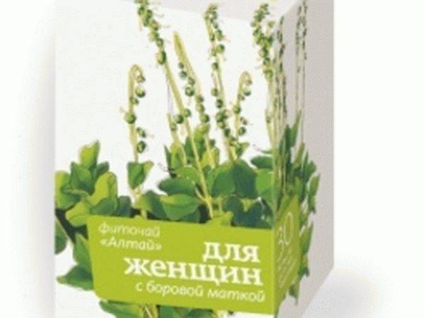 Боровая матка для зачатия: отзывы, как принимать для мужчин и женщин, настойка, отвар, спринцевание, противопоказания
