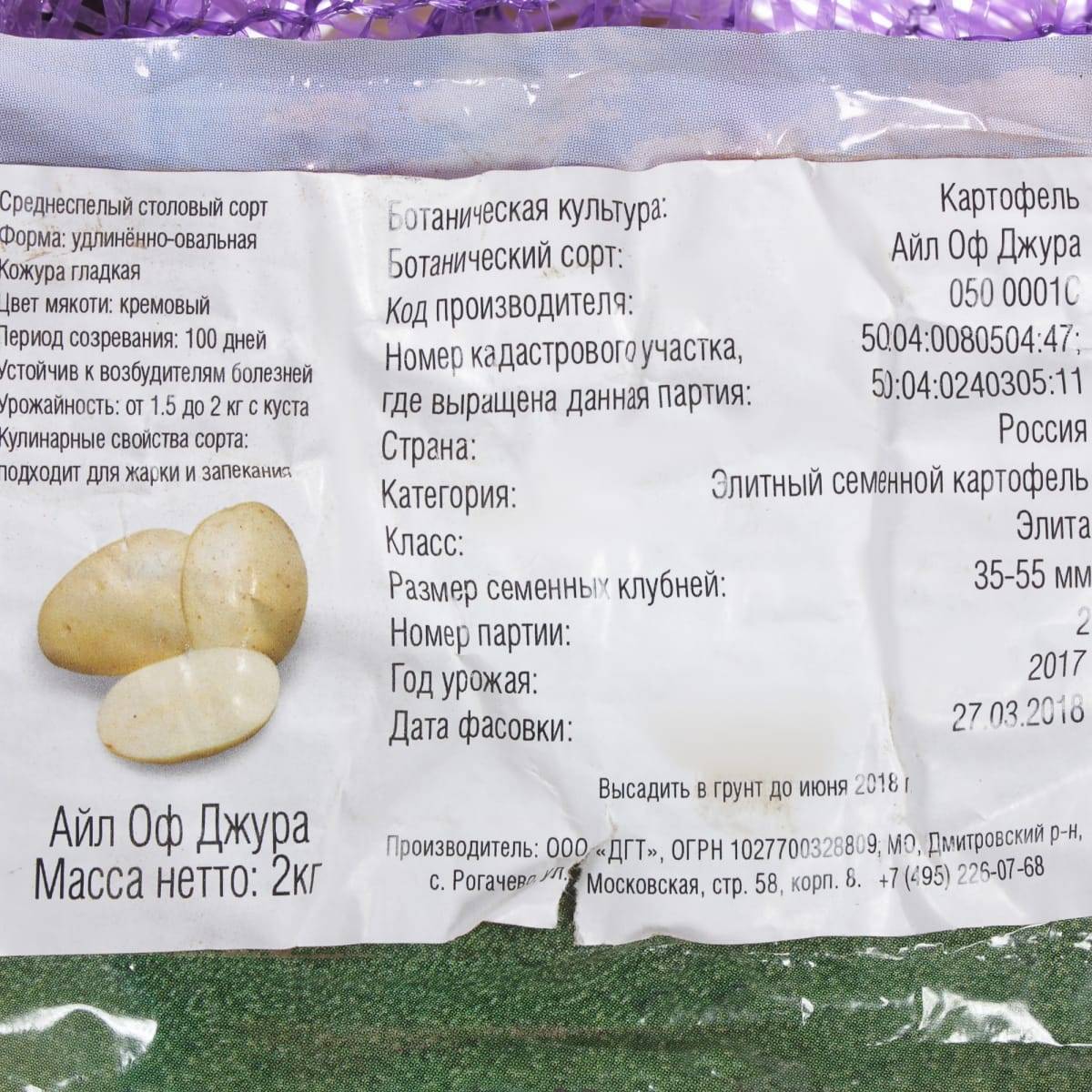 Сорт картофеля василёк: описание и характеристика