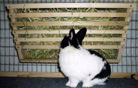 О кормушках для кроликов: как сделать кормушку своими руками для зерна