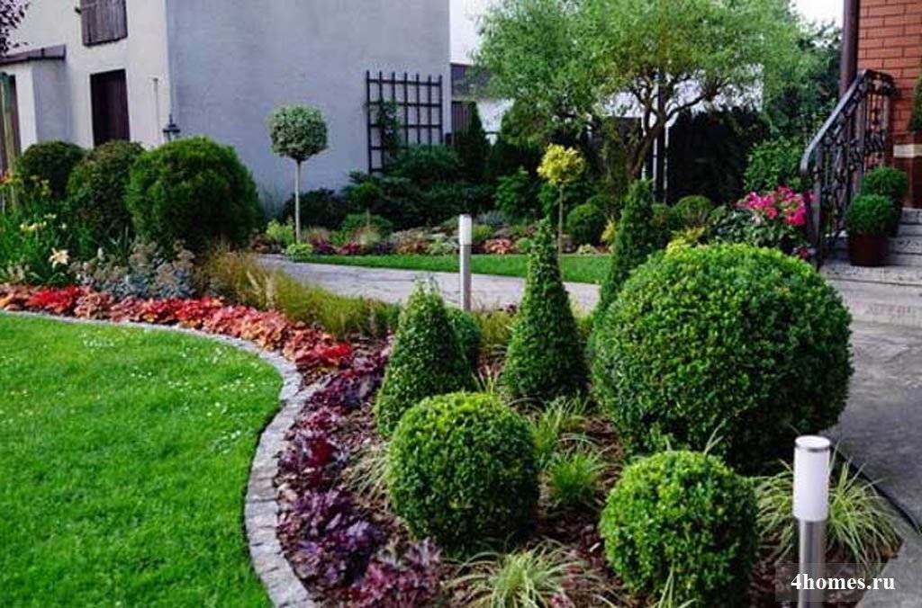 Как применить цветок гейхера в украшении сада: композиции, клюмбы