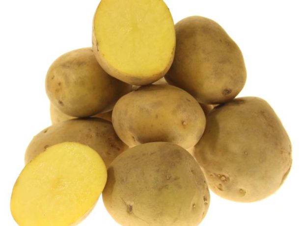 Подарок селекционеров — картофель «сказка»: описание сорта, характеристика, фото