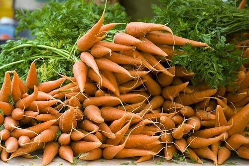Какие полезные элементы внести под морковь – признаки недостатка питательных веществ