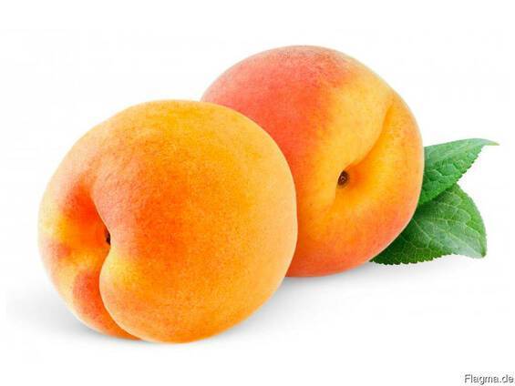 Самые необычные гибриды абрикоса, персика, сливы и яблока