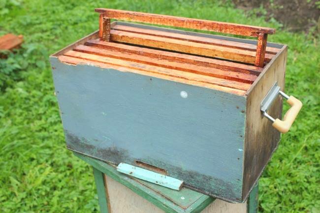 Надежные ловушки для роев пчел