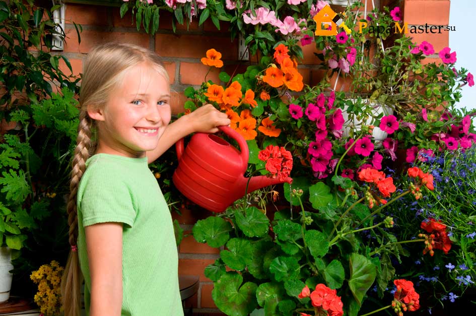 Цветы для детской комнаты какие полезны