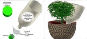 9 вариантов автополива для комнатных растений