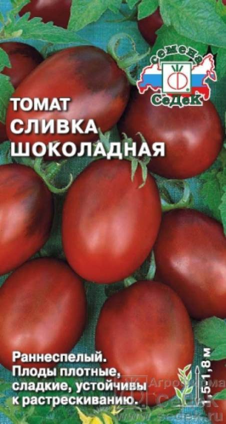 Томат шеди леди