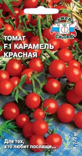 Томаты "карамель красная" f1: уникальное описание сорта помидор, урожайность, борьба с вредителями и плюсы выращивания