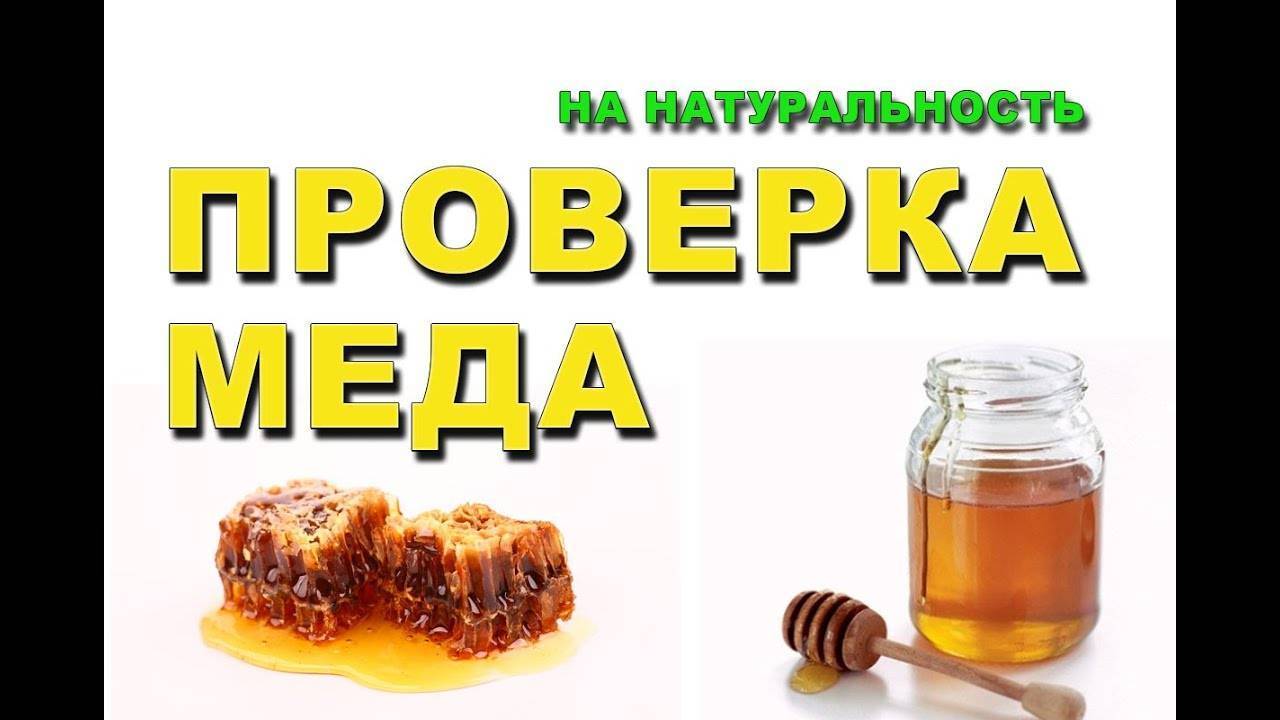С помощью чего можно проверить мед на качество и натуральность?