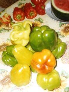 Удобрение агрикола для томатов: как применять