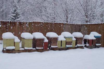 Окончательная подготовка пчел к зимовке в лежаках | практическое пчеловодство
