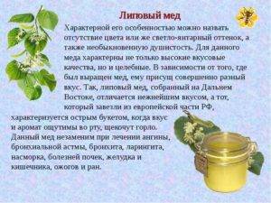 Польза и вред меда