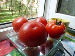 Урожайные низкорослые томаты для открытого грунта