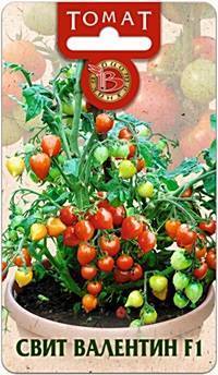 Мечта любого огородника — томат «тамара»: описание сорта и рекомендации по уходу