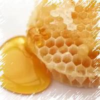 Рапсовый мед: польза и вред, недостатки и достоинства