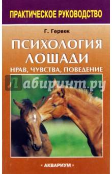 Психология: лошадь кататься на лошади - бесплатные статьи по психологии в доме солнца