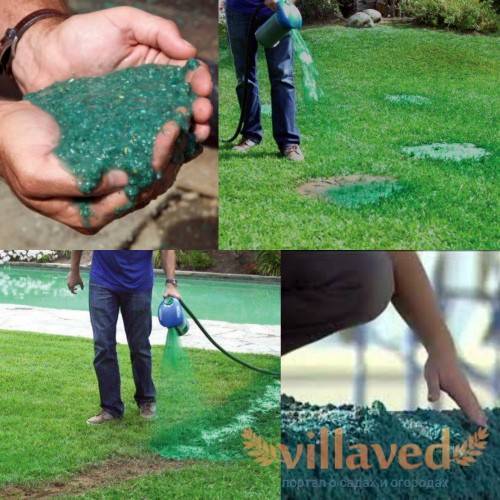 Как правильно сеять газон своими руками: пошаговая инструкция | +видео