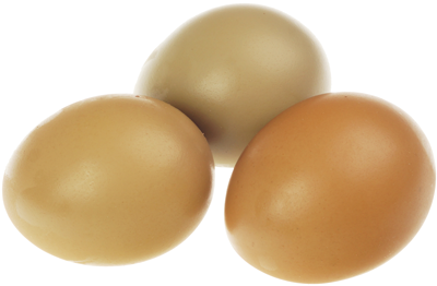 Полезные свойства фазаньего яйца. рецепты приготовления и способы применения яиц фазана