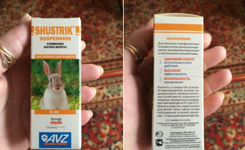 Глисты у кроликов: причина появления, симптомы, лечение и профилактика