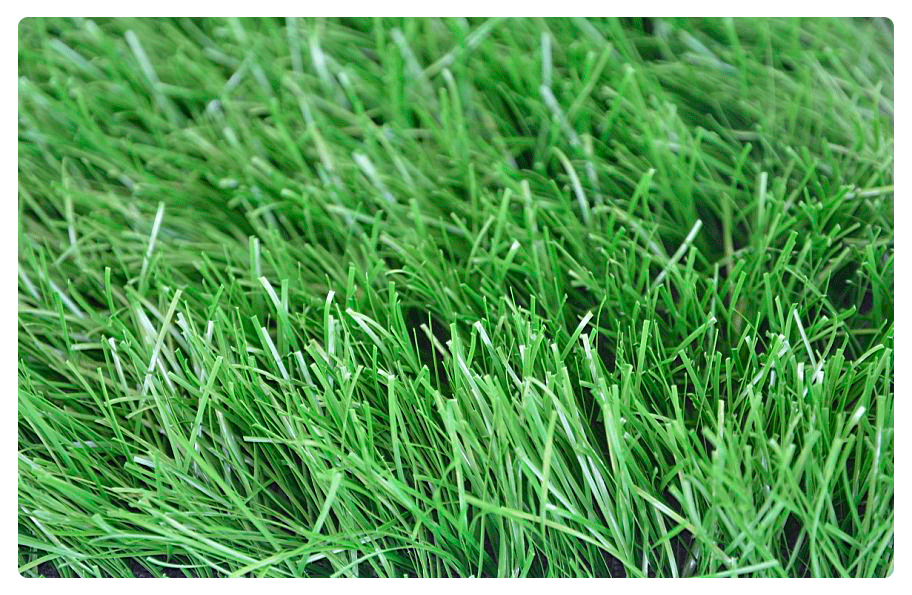 О спортивном виде газона: описание, какие травы входят в состав, характеристики