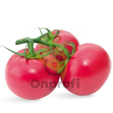 Томат новичок красный: характеристика и описание сорта помидоров, фото, отзывы тех, кто сажал, видео