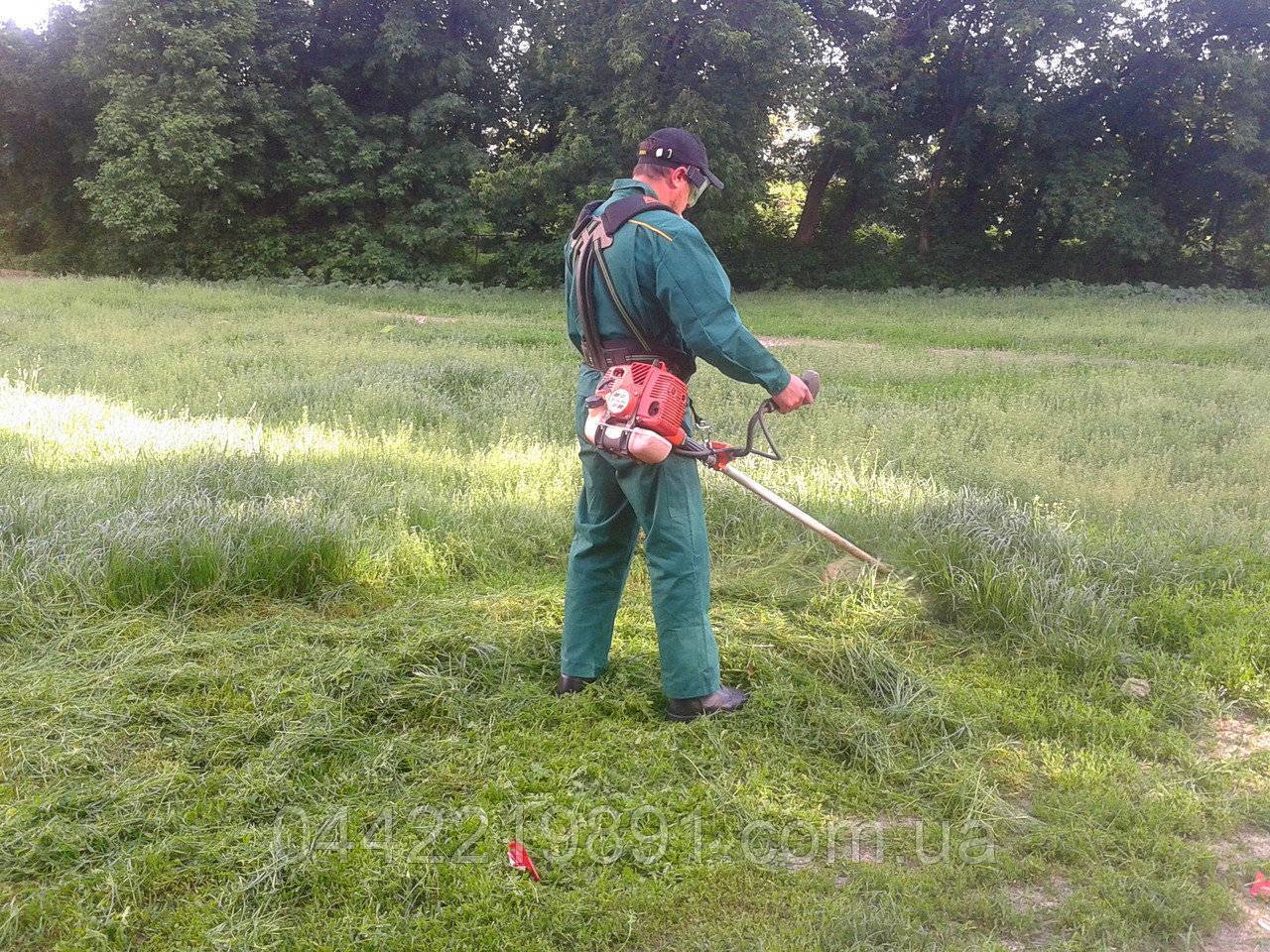 Стрижка газона: как правильно косить траву