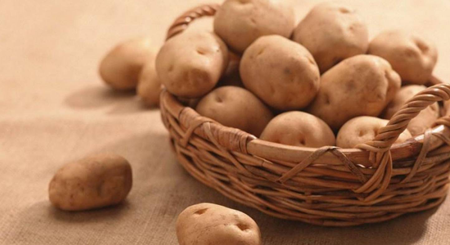 Рамона: описание семенного сорта картофеля, характеристики, агротехника