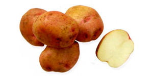 Красивый сорт картофеля для диетического питания «василек»
