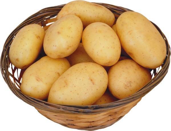 Сорт картофеля колетте: описание и характеристика, отзывы