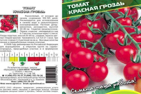 Томат "груша красная": описание сорта, фото, особенности выращивания отличного урожая помидор