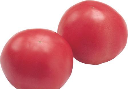 Розовые томаты: популярные сорта